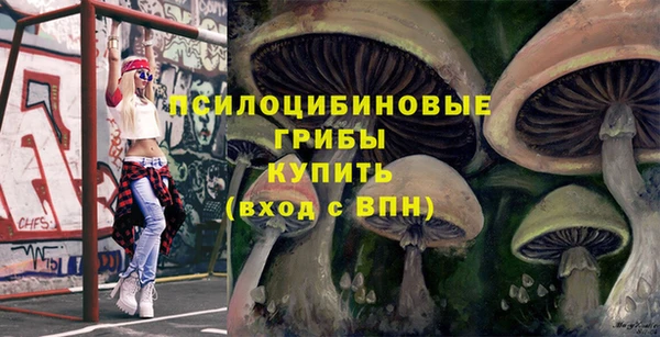сатива Армянск