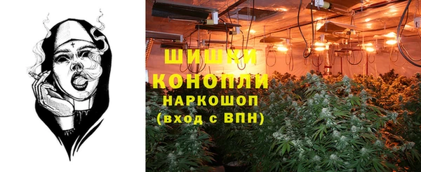 сатива Армянск
