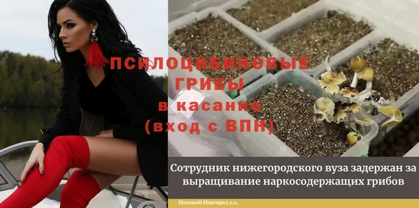 сатива Армянск